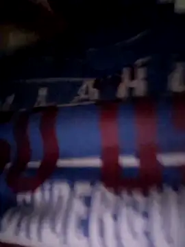 Javier bear online show from October 28, 2025, 10:09 pm