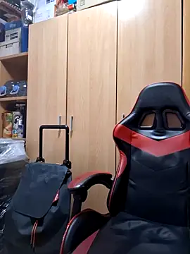 Javier bear online show from October 13, 2025, 1:34 pm