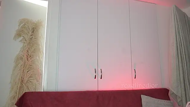 roselinedior online show from November 9, 2025, 3:49 pm