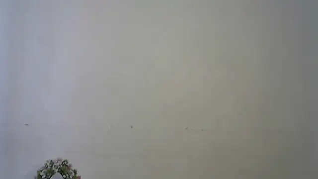 seema raani online show from April 16, 2026, 4:46 am