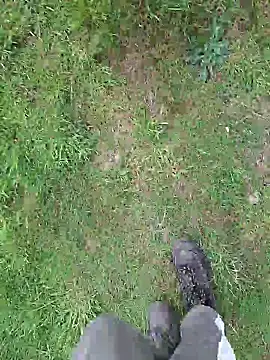 FreezingTie850 online show from April 21, 2026, 10:00 am