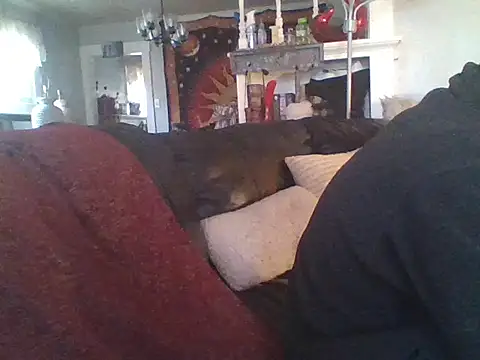 LongDickLance online show from January 8, 2026, 2:34 pm