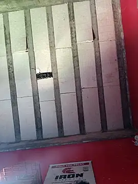 Sergipano fogozinho online show from November 14, 2025, 4:32 pm