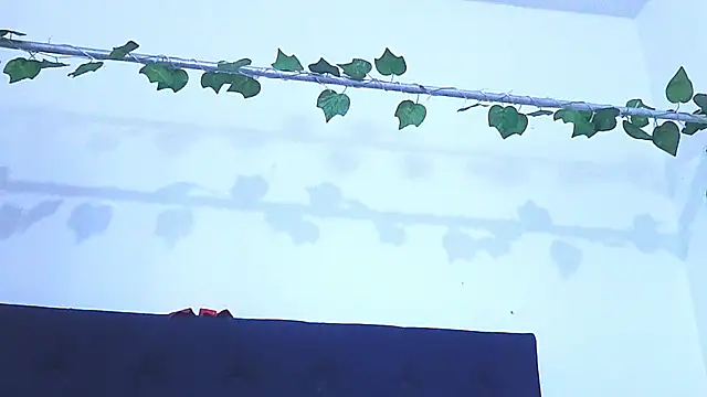 Snapshot of AliciaBasch chatting on January 9, 2025, 2:01 am AliciaBasch online show from January 9, 2025, 2:01 am