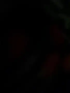 THE-LOVE-BOY online show from April 25, 2026, 4:26 am