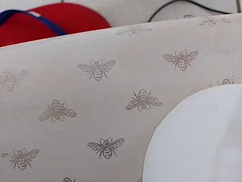 Snapshot of Amarok39 chatting on March 15, 2025, 7:59 pm Amarok39 online show from March 15, 2025, 7:59 pm