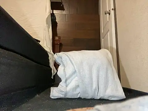 Snapshot of Amarok39 chatting on February 9, 2026, 1:14 am Amarok39 online show from February 9, 2026, 1:14 am