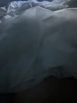 Snapshot of Pongobongo40 chatting on February 26, 2026, 1:38 am Pongobongo40 online show from February 26, 2026, 1:38 am