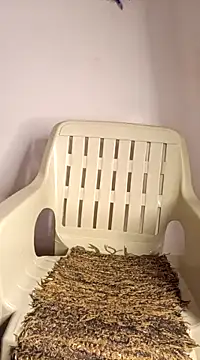 Snapshot of Jessicca_Cum chatting on March 11, 2025, 6:52 pm Jessicca Cum online show from March 11, 2025, 6:52 pm