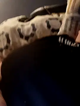 poussychats online show from January 4, 2025, 4:43 pm