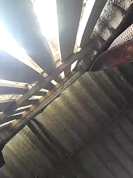 HotSexyBoudi online show from September 21, 2025, 8:41 am