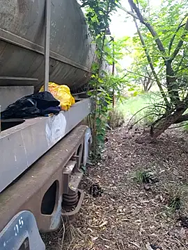 Petrossa online show from November 12, 2025, 9:02 am