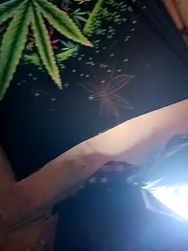 Snapshot of ySqmbVanbe chatting on February 9, 2026, 4:49 pm ySqmbVanbe online show from February 9, 2026, 4:49 pm