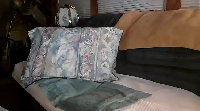 Snapshot of Bramro409 chatting on February 22, 2025, 2:28 am Bramro409 online show from February 22, 2025, 2:28 am