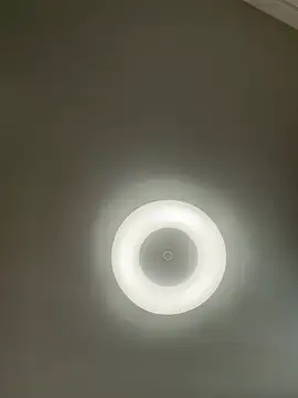 Lady MiaOlson online show from January 6, 2025, 4:36 am