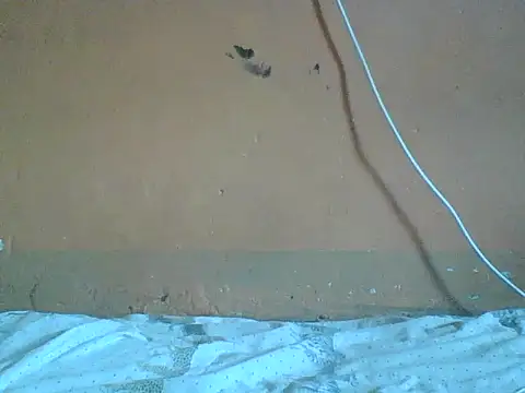 Snapshot of Naivegirrl chatting on February 1, 2026, 10:13 am Naivegirrl online show from February 1, 2026, 10:13 am