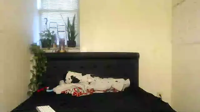 vixenpaisley2 online show from December 7, 2024, 2:58 am