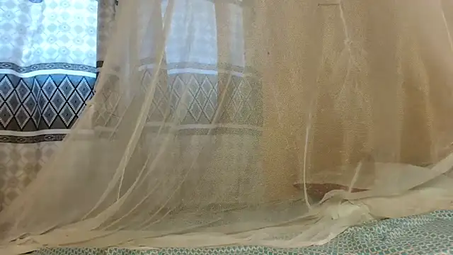 titi fiesta online show from February 6, 2026, 12:56 pm