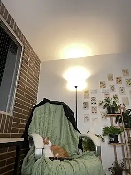 Snapshot of 6nalanie chatting on December 14, 2024, 12:44 am 6nalanie online show from December 14, 2024, 12:44 am