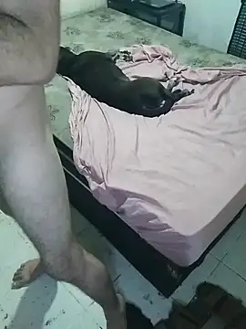 Snapshot of pikalindaxx chatting on February 20, 2026, 12:40 am pikalindaxx online show from February 20, 2026, 12:40 am