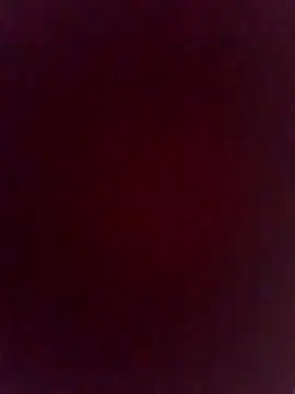 fickmonster2024 online show from April 23, 2026, 4:41 pm