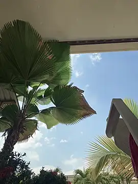 Ema azel online show from March 9, 2025, 2:21 pm