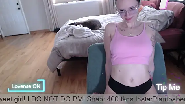 Snapshot of Plantbabeee chatting on May 8, 2026, 5:17 pm Plantbabeee online show from May 8, 2026, 5:17 pm
