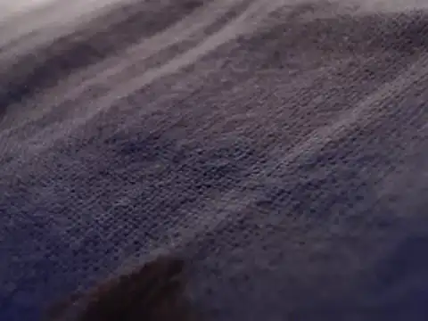 Snapshot of FleshlightFan chatting on January 26, 2025, 12:47 am FleshlightFan online show from January 26, 2025, 12:47 am