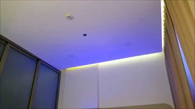 wow Mia online show from December 24, 2024, 4:55 am