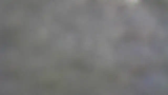 Buddy Cuck online show from January 7, 2026, 8:03 pm