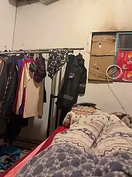 A6229 online show from February 11, 2026, 1:33 pm