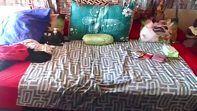 Indian Blaze00 online show from December 20, 2025, 9:23 am