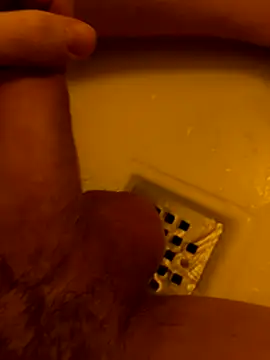 Arvicci online show from November 23, 2025, 7:07 am