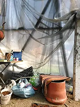 EmmaSquirt online show from March 20, 2025, 11:38 am