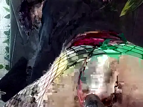 Snapshot of Devilnia9 chatting on February 4, 2026, 10:38 pm Devilnia9 online show from February 4, 2026, 10:38 pm