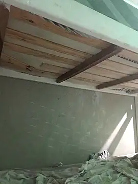 puak6666 online show from November 14, 2025, 5:00 am