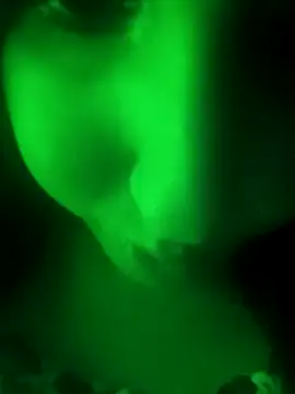 youka tr online show from February 14, 2026, 7:36 pm