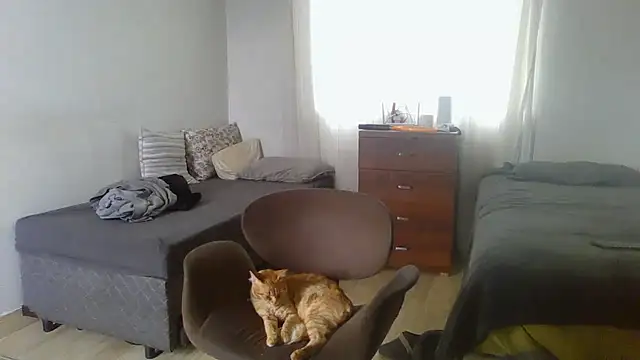 prorafadodoce online show from February 2, 2026, 6:51 pm