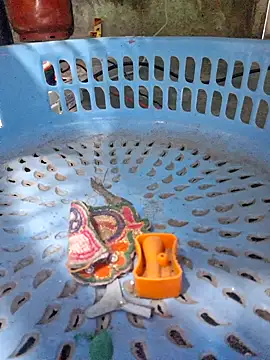 Priya Bong online show from December 16, 2025, 2:27 am