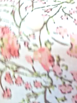 Priya Bong online show from February 9, 2026, 4:10 am