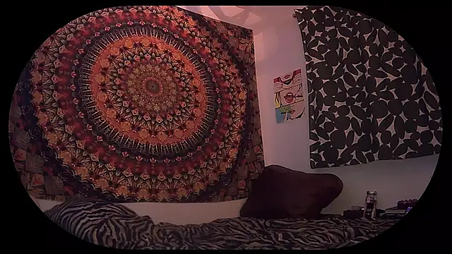 HeyyImHarlowe online show from March 2, 2026, 7:09 am