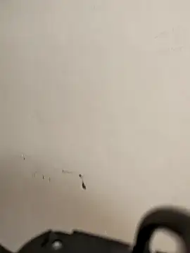 AvaLloyd online show from February 20, 2026, 6:19 am