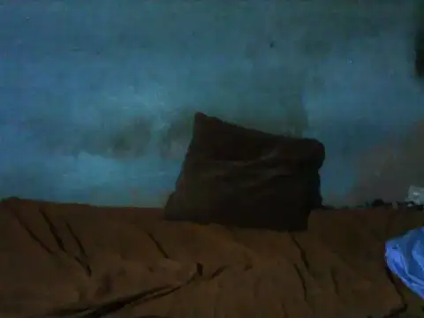 little  joy online show from December 16, 2025, 11:31 pm