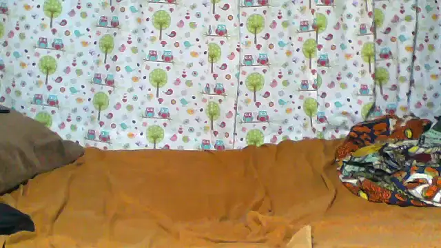 little  joy online show from February 24, 2026, 8:26 am