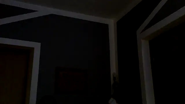 donhulio482 online show from March 11, 2025, 2:10 am