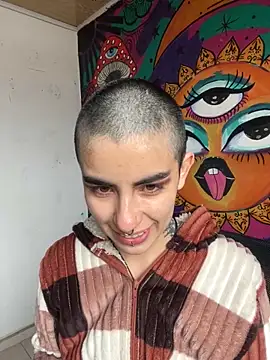  Artemisa X online show from November 14, 2025, 3:37 pm