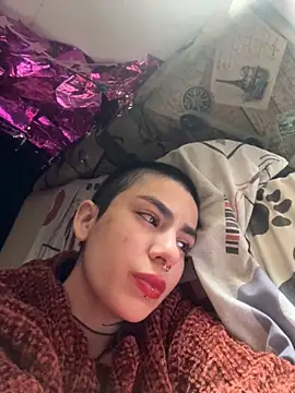  Artemisa X online show from November 28, 2025, 4:40 pm