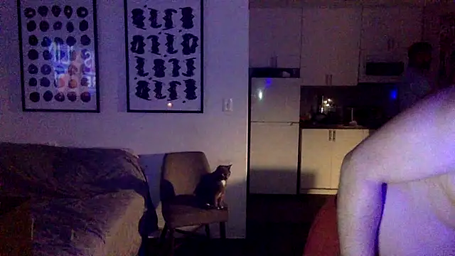 TheOnlyTwinTowers online show from April 7, 2026, 5:09 am