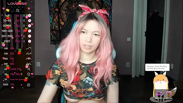 Project hisoka online show from April 3, 2026, 2:23 pm