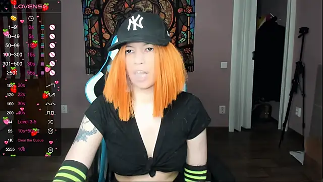 Project hisoka online show from April 4, 2026, 2:34 pm